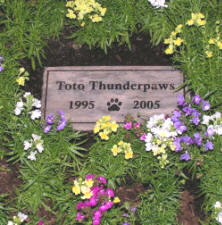 Toto's grave stone
