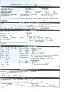 Cardiac ultrasound HCM screening report
